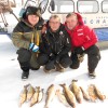 Заповедник Заповедник