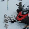 Заповедник Заповедник