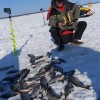 Заповедник Заповедник