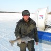 win_fish win_fish