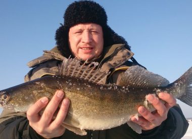 Рыбы рыбинского водохранилища список фото