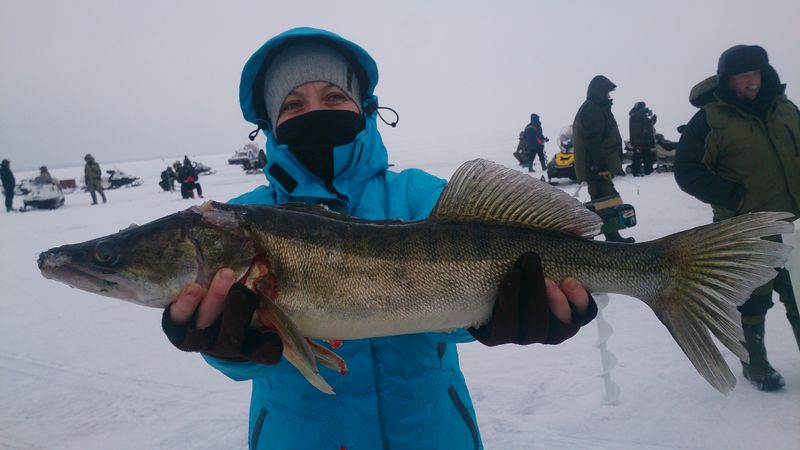 зимняя рыбалка на рыбинском водохранилище видео