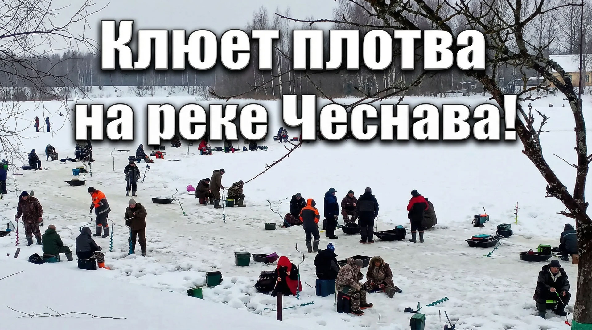 Клюет плотва