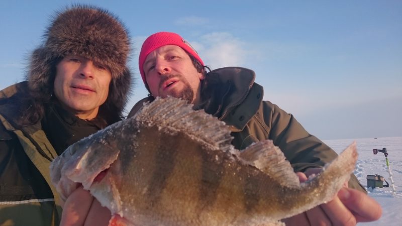 рыбалка на рыбинском водохранилище зима